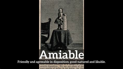 What Is Amiable How Does Amiable Look How To Say Amiable In