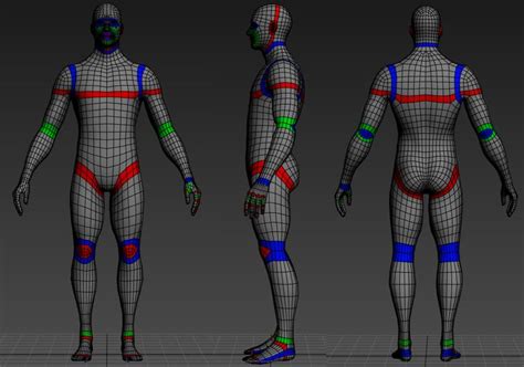 Human Mesh Showing Edge Loops For Animation Ready Character Maya Modeling Character Model