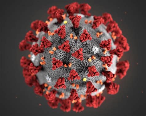 The virus is very serious, please follow the. Variables meteorológicas, COVID-19, SARS-CoV-2 y propagación