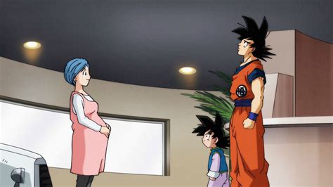 (probably not, i'm lazy when it comes to. Dragon Ball Super Episode 77: "Let's Do It, Zen-Oh Sama! The All-Universe Martial Arts ...
