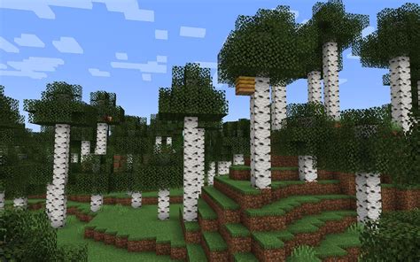 What Changes Might Come To Birch Forest In Minecraft 119 The Wild Update