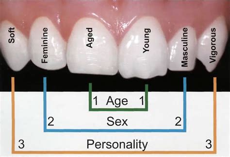 What Your Teeth Say About You 4 Interesting Facts