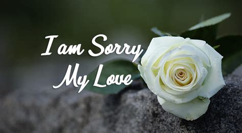 Sorry Messages For Boyfriend Apology Quotes For Him Wishesmsg