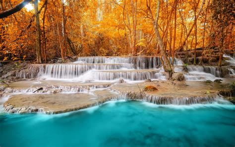 Autumn Forest Trees River Waterfall Wallpaper Nature And
