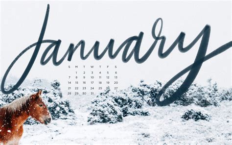 Free Desktop Backgrounds For January