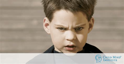 What Are Some Of The Causes Of Aggression In Children