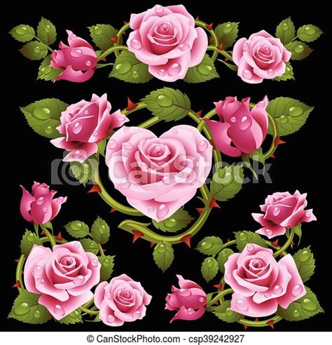 Vector Pink Rose Design Elements Isolated On Black Background Canstock