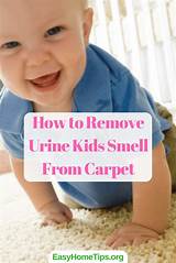 Remove Gas Smell From Carpet Images