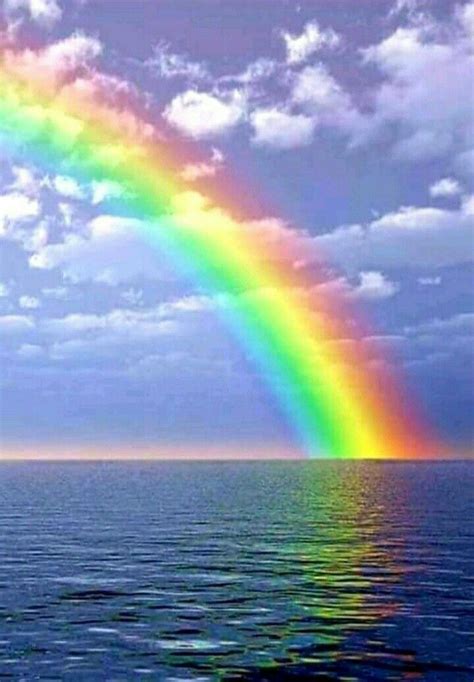 Pin By 📌♥️🌹🍃🌹🍃🌹♥️📌 On 🌈 Rainbows 🌈 Rainbow Photography Rainbow