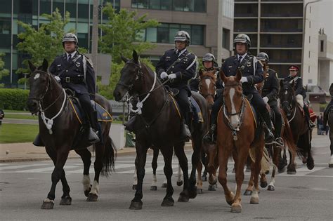 Home Cleveland Mounted Police