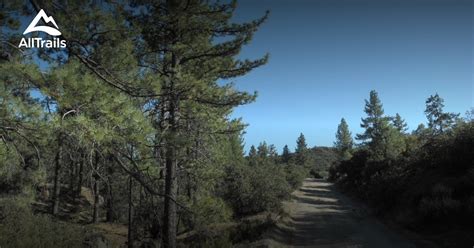 Best Trails In Mountain Center California Alltrails