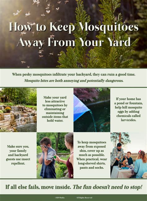 How To Keep Mosquitoes Away From Your Yard — Rismedia