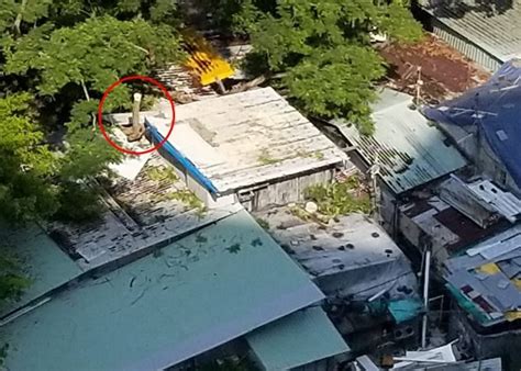 小职员阿池（黄又南 饰）于凌晨坐上了一辆由九龙旺角开网新界大埔的红色小巴士，车上有司机肥雪（林雪 饰）、义气大叔黄万发（任达华 饰）、神婆（惠英红 饰）、it男. 大埔南坑村塌樹壓村屋｜即時新聞｜港澳｜on.cc東網