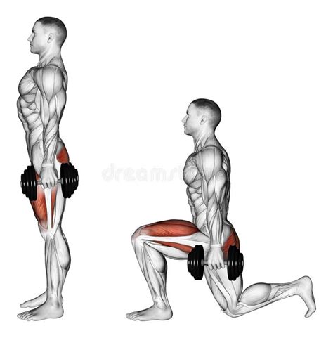Exercising Lunges With Dumbbells Lunges With Dumbbells Exercising