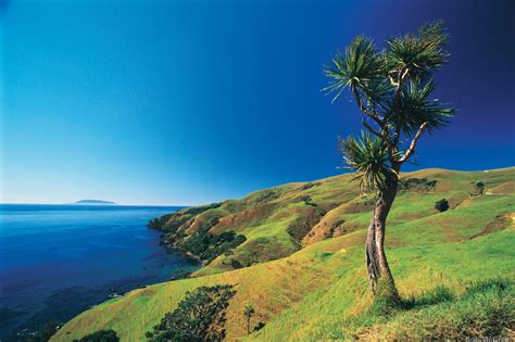Best Beaches To Visit In New Zealand