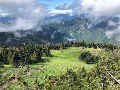 Mount Angeles — Washington Trails Association