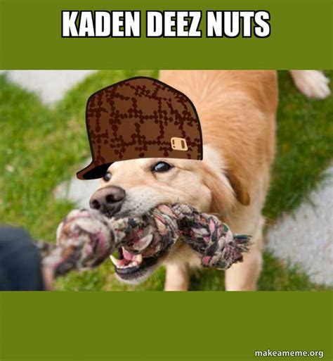 Kaden Deez Nuts Scumbag Dog Make A Meme