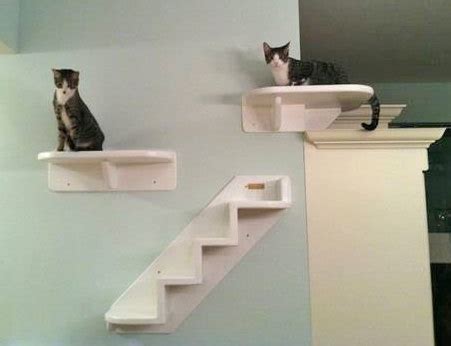 1,780 cat climbing shelves products are offered for sale by suppliers on alibaba.com, of which interactive toys accounts for 5%, pet cages, carriers & houses accounts for 1. Old Maid Cat Lady: Cats Need to Climb!