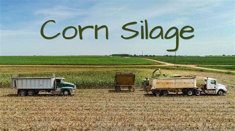 Chopping Silage 2022 Kansas Jd 5830 Forage Harvester Youtube