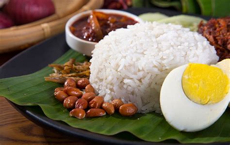 Nasi lemak means cooked rice logo vector stock vector. The Healthy Truth About Nasi Lemak
