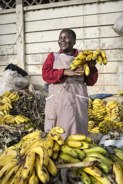 Is It Time For Genetically Modified Bananas In Uganda Plantwiseplus Blog