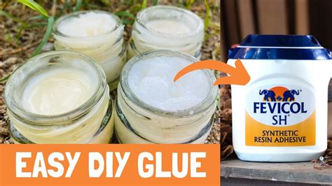 Diy Homemade Gluefevicol How To Make 4 Types Of Fevicol Easy And