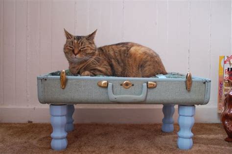 10 Homemade Cat Beds Too Cute To Resist Homemade Cat Beds Cat Bed