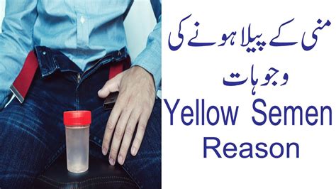 Yellow Semen Yellow Sperm Reason For Yellow Sperm Reason Of