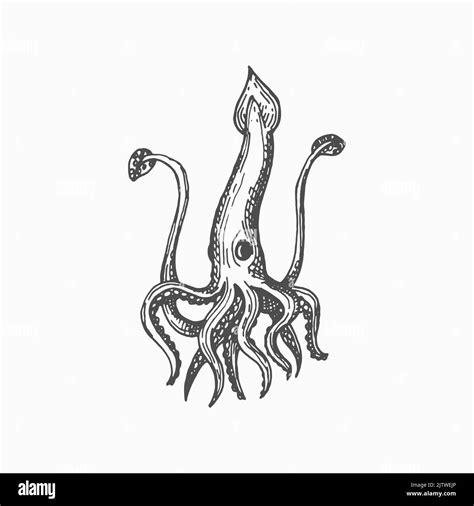 Giant Squid Isolated Marine Animal Monochrome Sketch Icon Vector