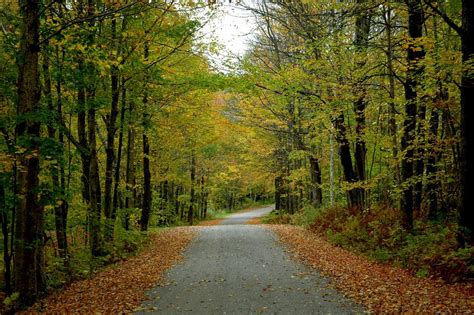 11 Best Country Roads In The Fall In Vermont That Are Pure Bliss
