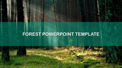 Elegant Forest Powerpoint Template For Presentation