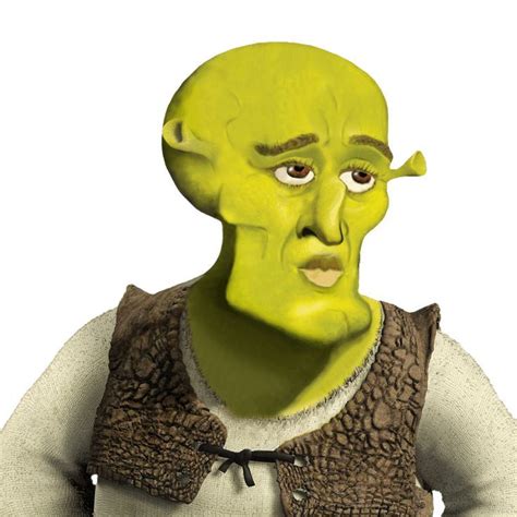 Handsome Shrek Meme Shrek Goofy Pictures Handsome
