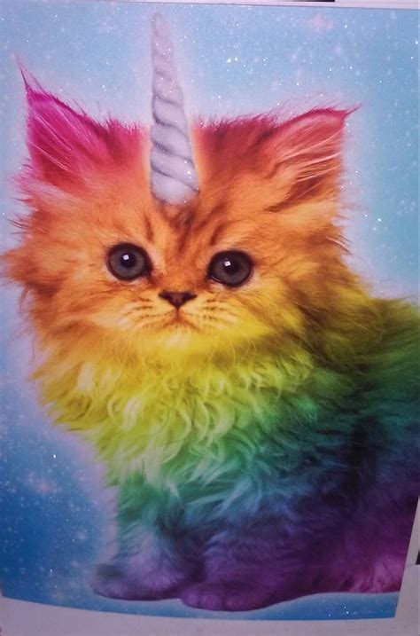 Meaningless Rainbow Unicorn Kitties Make Me Happy Dont You Think Dont