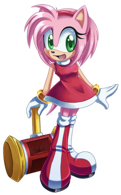 Sonic The Hedgehog Sonic And Knuckles Sonic And Amy Rose Pictures