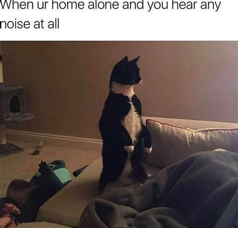 We did not find results for: When You're Home Alone And You Hear Any Noise At All ...