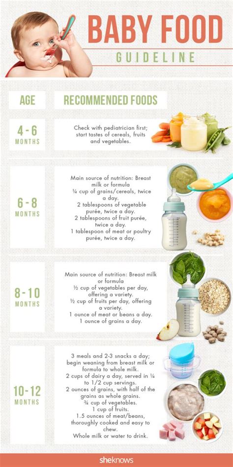 What and when babies can eat at 9 months. Starting Solids (Quick & Easy Homemade Baby Food Recipes ...