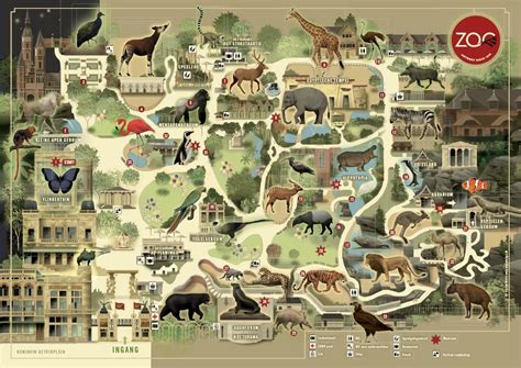 The Plan Of Antwerpen Zoo Belgium Maps On The Web