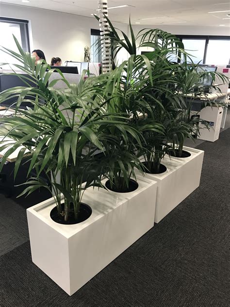 This guide to indoor plant stands includes helpful information for picking you plant stand, diy plant stand instructions, and reviews of the best plant stands you can buy online right now. Large Indoor Plant Pots Melbourne | Indoor Planters Melbourne