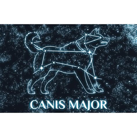 Canis Major Greek Constellations Touch Of Modern