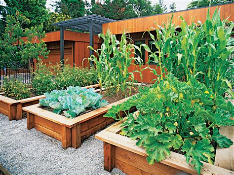 Grow Vegetables In The Front Yard Sunset Magazine