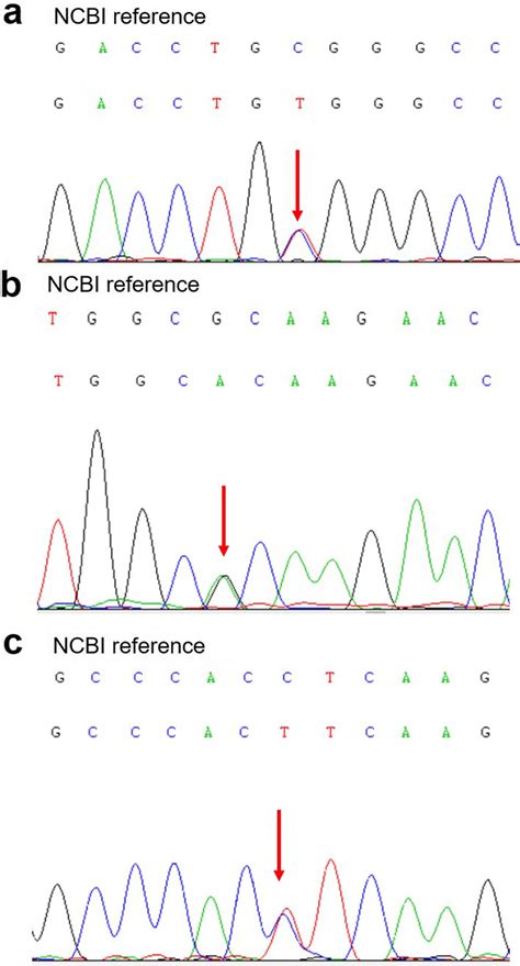 Sanger Sequencing Validation Of The Mutation Sites Atnni3 Gene Download Scientific Diagram