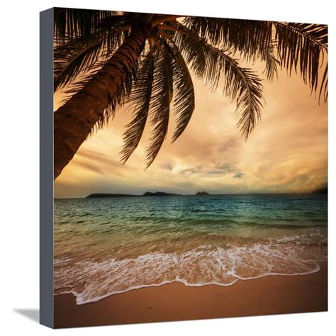 Tropical Beach Stretched Canvas Print Wall Art By Kamchatka - Walmart ...