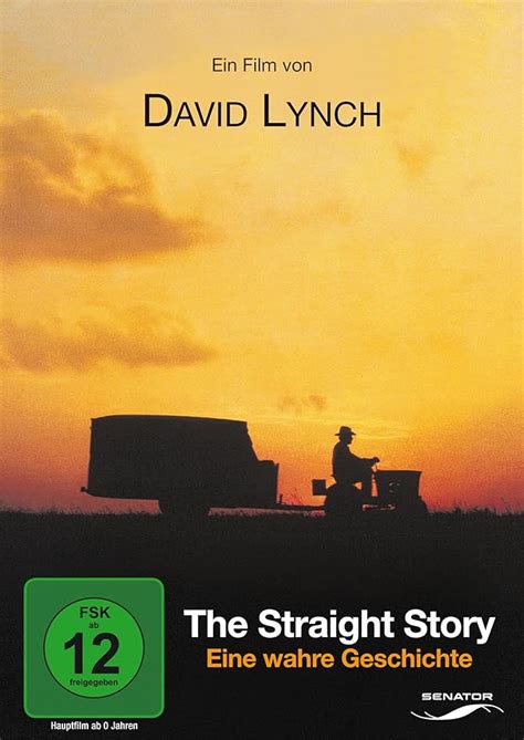 The Straight Story Dvd 1999 By Uk Music