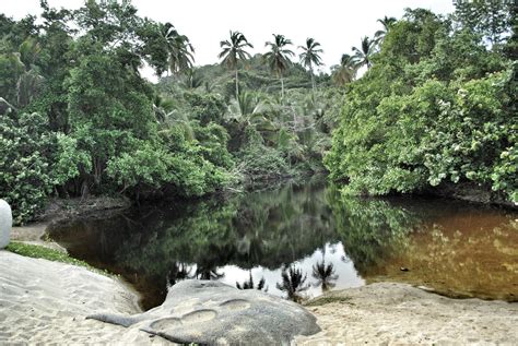 Select from premium tayrona national park of the highest quality. Tayrona National Park - 150 km aan jungle, strand en wildlife!