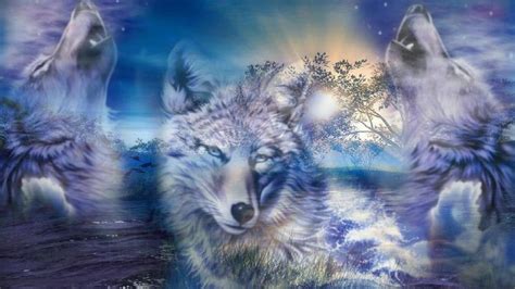 Wolf Desktop Backgrounds Wallpaper Cave