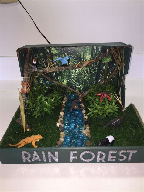 Rainforest Habitat Diorama Arts And Crafts Pinterest Rainforest