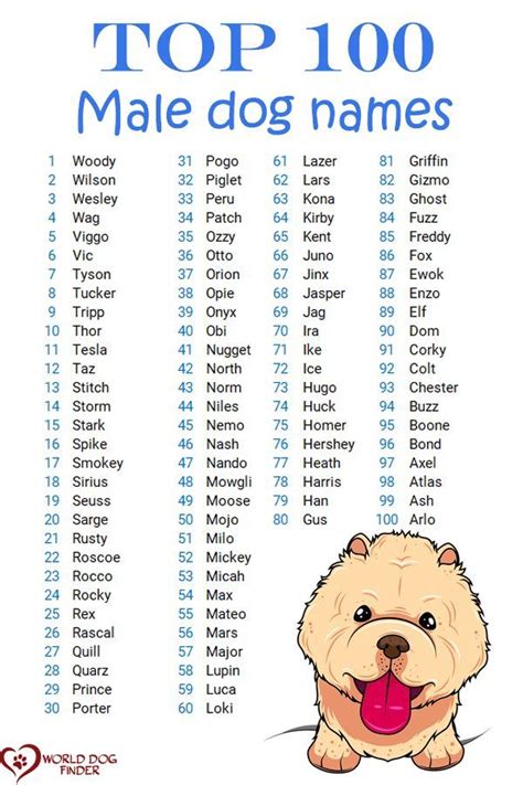 Top 100 Most Popular Dog Names In 2021 Artofit