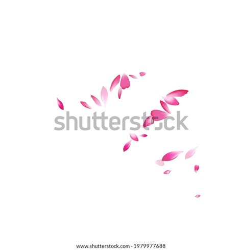 Purple Flower Petal Vector White Background Stock Vector Royalty Free