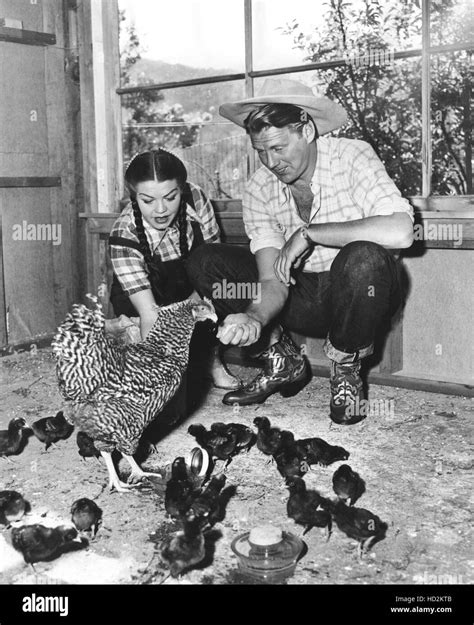 Sonny Tufts Y Su Esposa Barbara Dare Tendiendo A Sus Pollos En Su