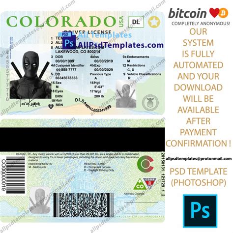 Colorado Driver License Template All Psd Templates